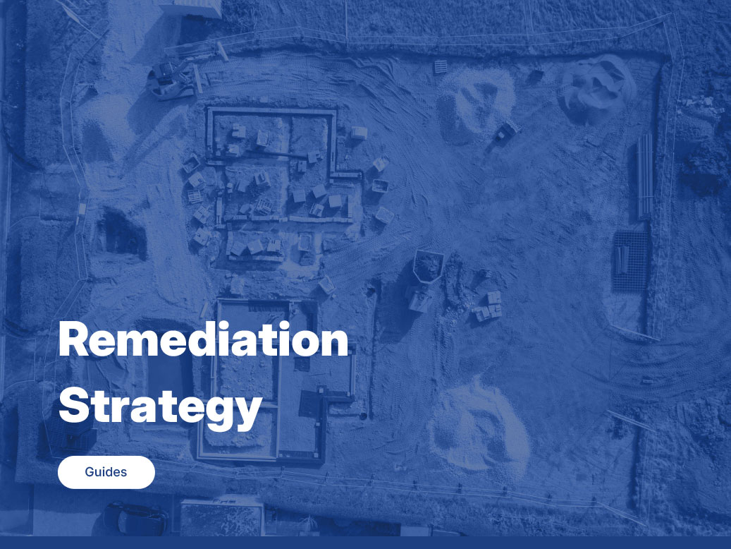 Remediation Strategy